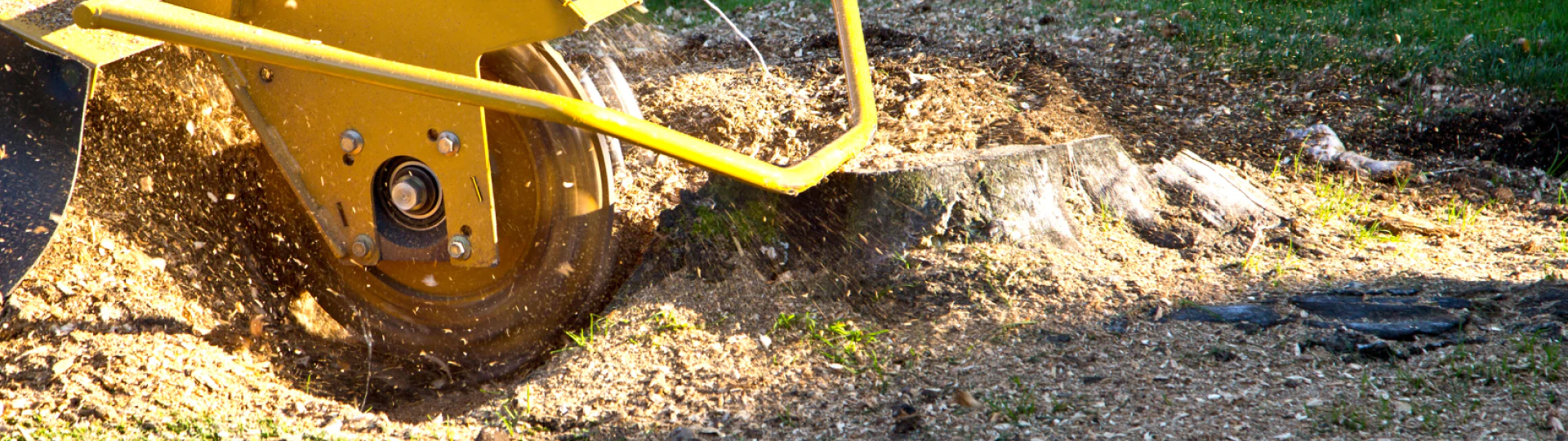 Tree Stump Removal breadcrumb